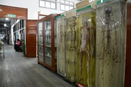 Congdon Anatomical Museum Siriraj Medical Museum,