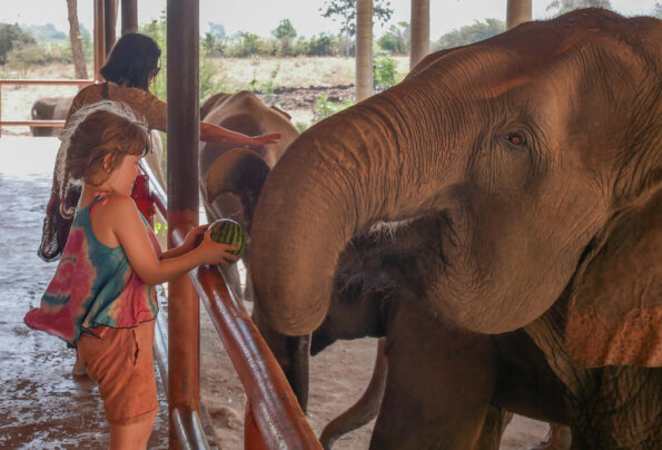Elephant World Kanchanaburi